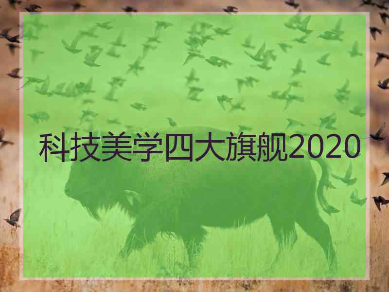 科技美学四大旗舰2020