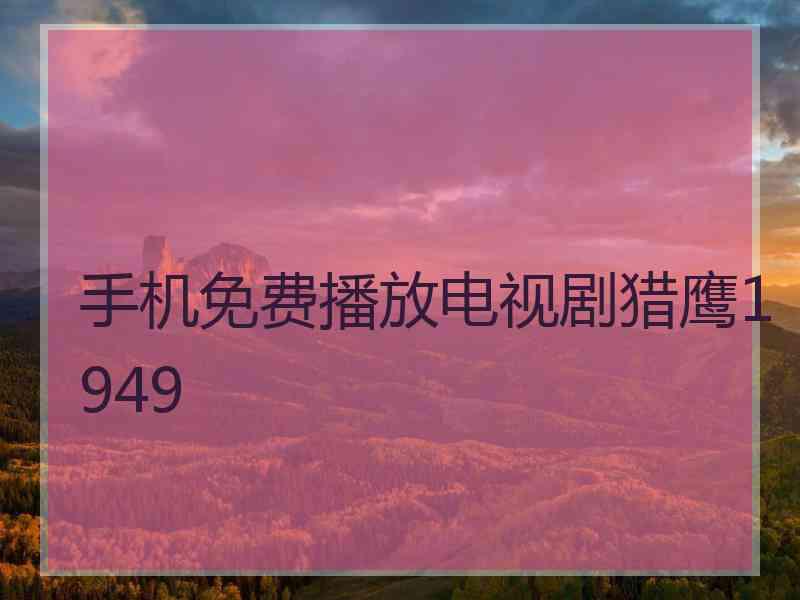 手机免费播放电视剧猎鹰1949