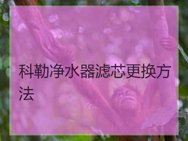 科勒净水器滤芯更换方法