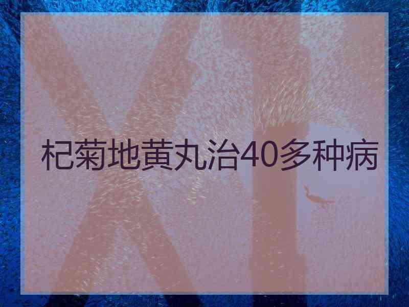 杞菊地黄丸治40多种病