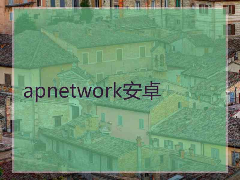 apnetwork安卓