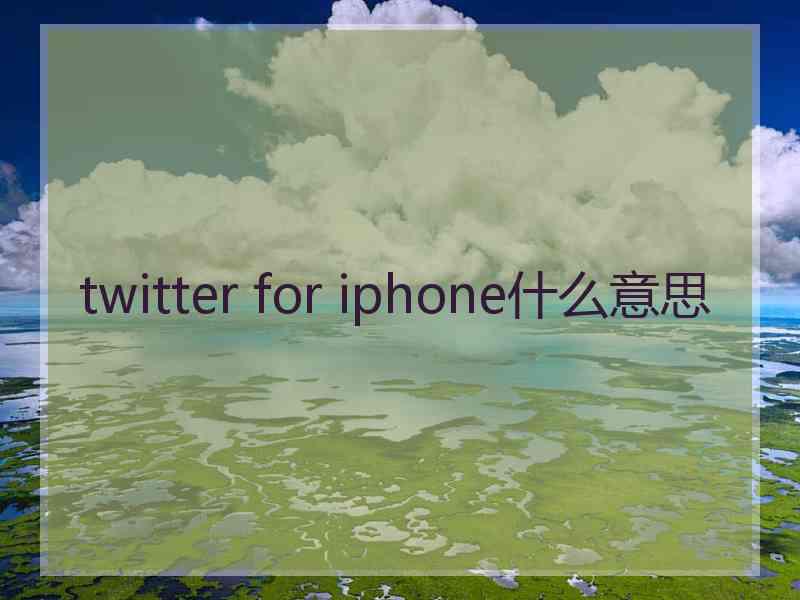 twitter for iphone什么意思