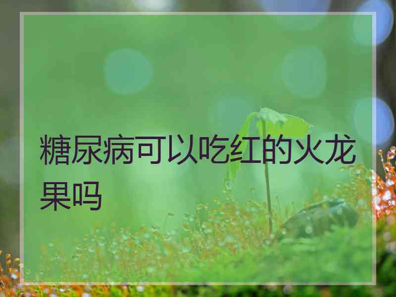 糖尿病可以吃红的火龙果吗