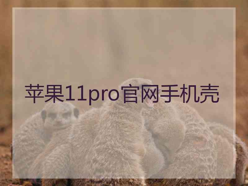 苹果11pro官网手机壳