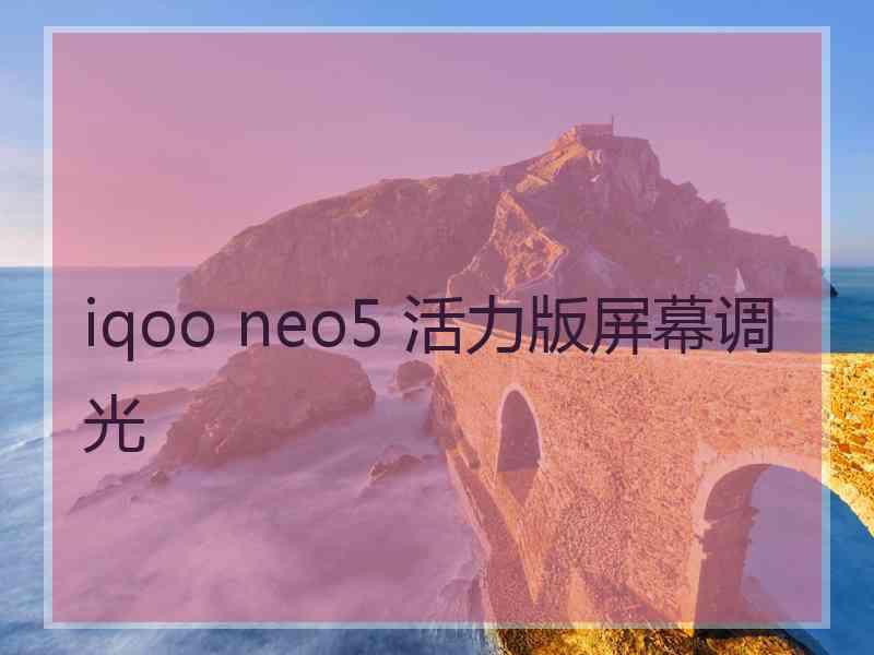 iqoo neo5 活力版屏幕调光