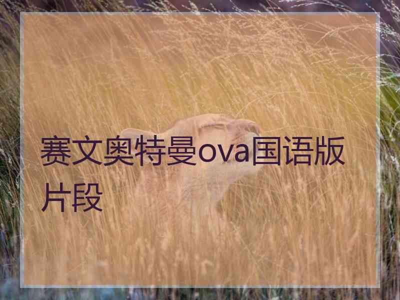 赛文奥特曼ova国语版片段