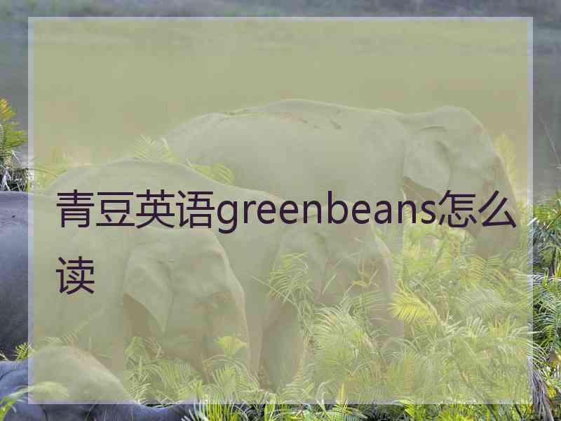 青豆英语greenbeans怎么读