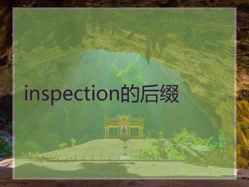 inspection的后缀