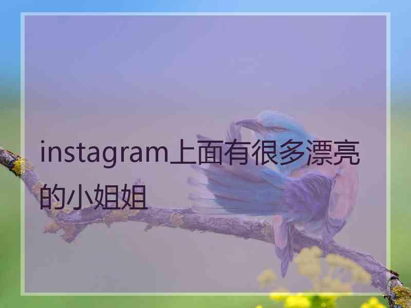 instagram上面有很多漂亮的小姐姐