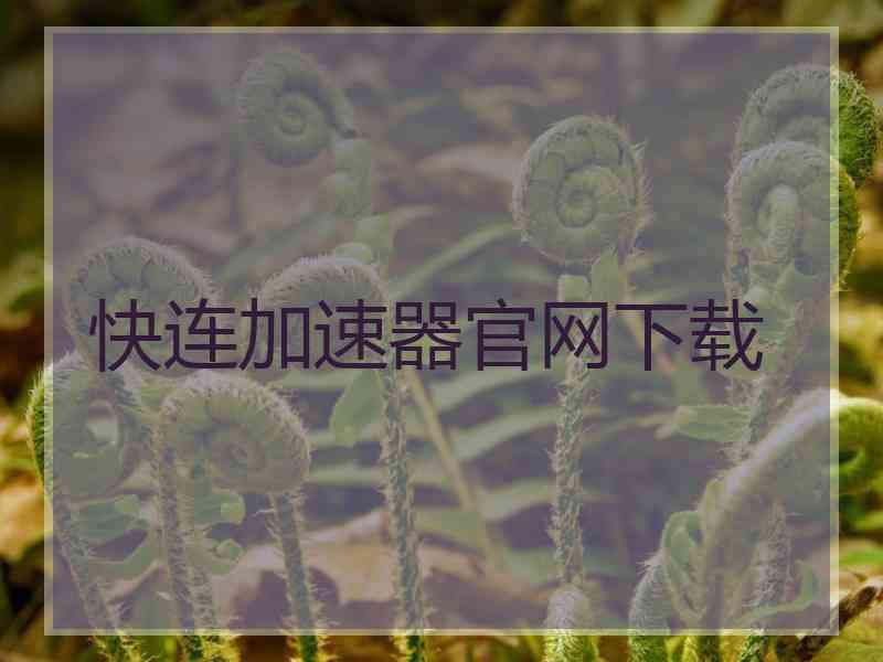 快连加速器官网下载