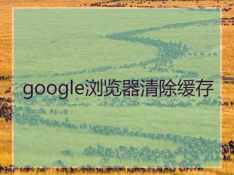 google浏览器清除缓存