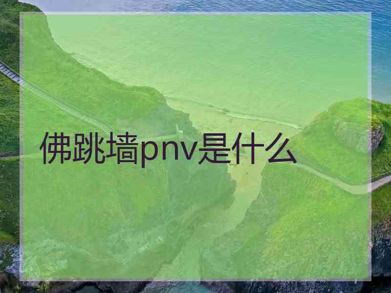 佛跳墙pnv是什么