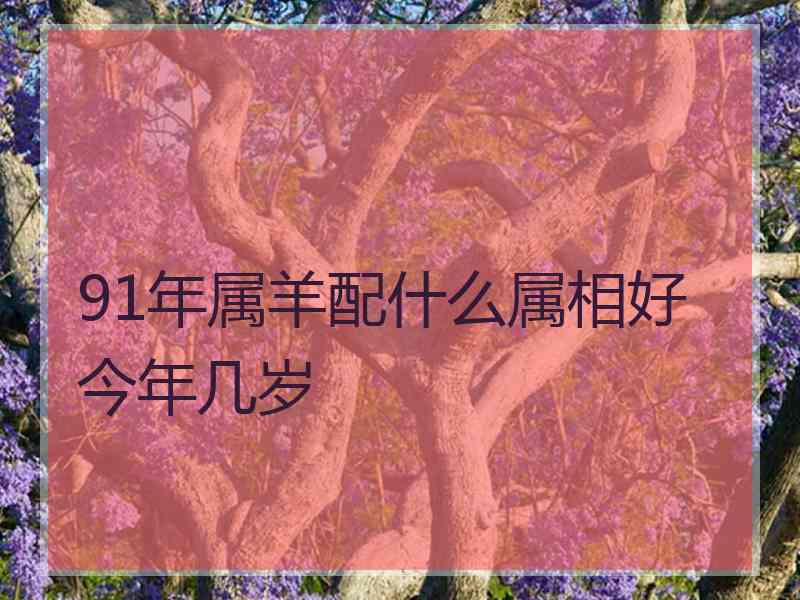 91年属羊配什么属相好今年几岁