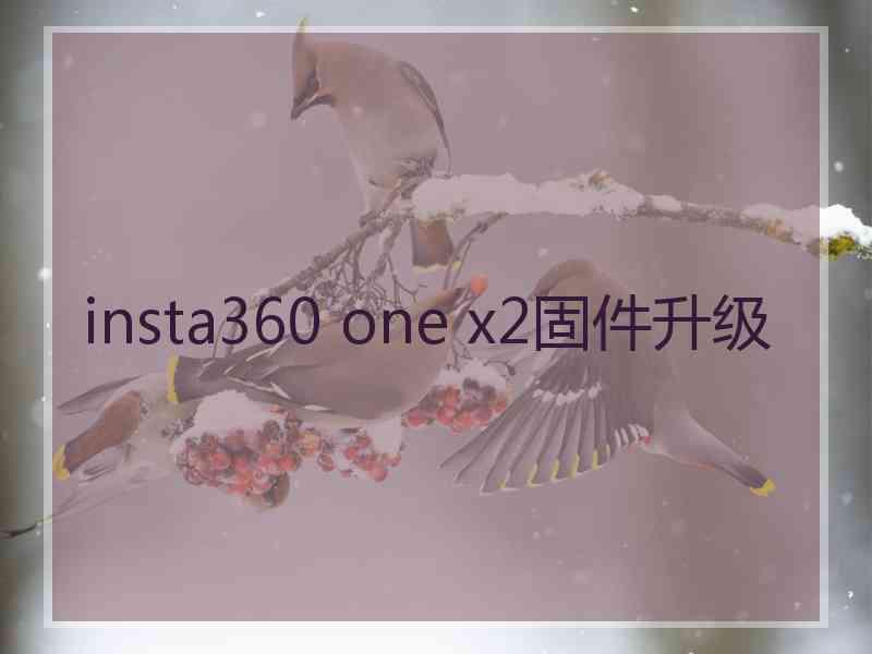 insta360 one x2固件升级