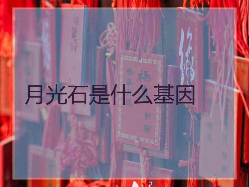 月光石是什么基因