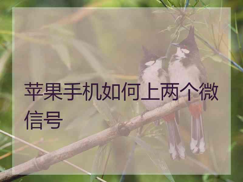 苹果手机如何上两个微信号