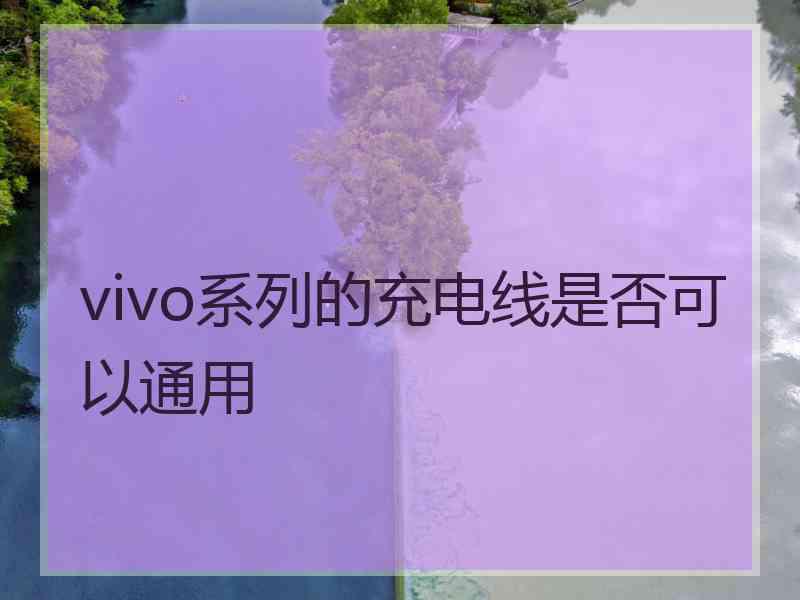 vivo系列的充电线是否可以通用