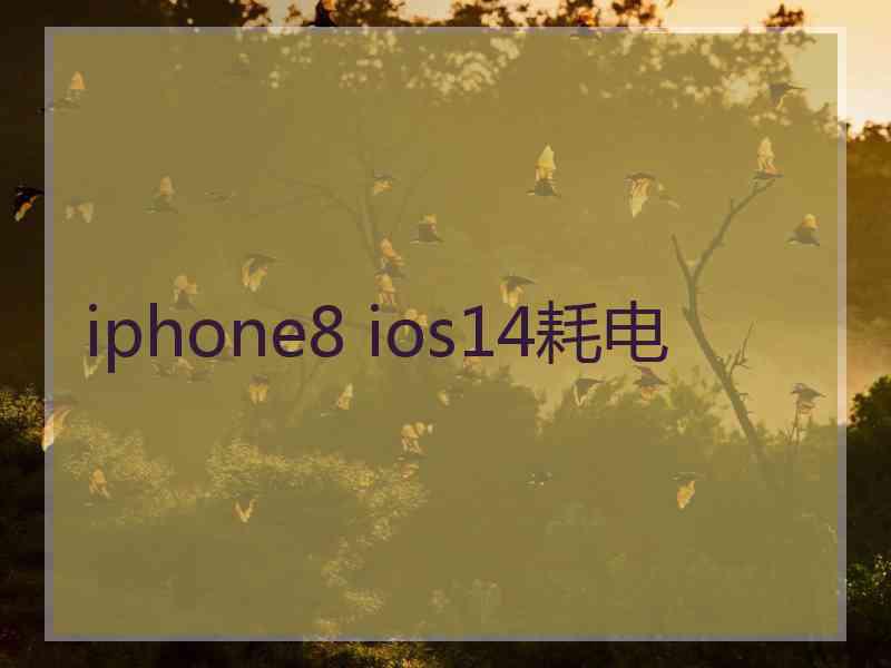 iphone8 ios14耗电