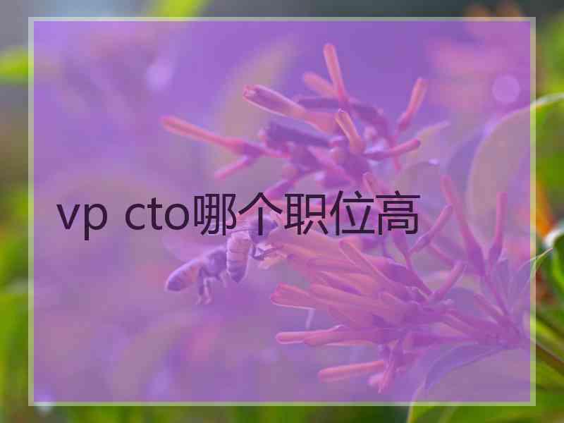 vp cto哪个职位高