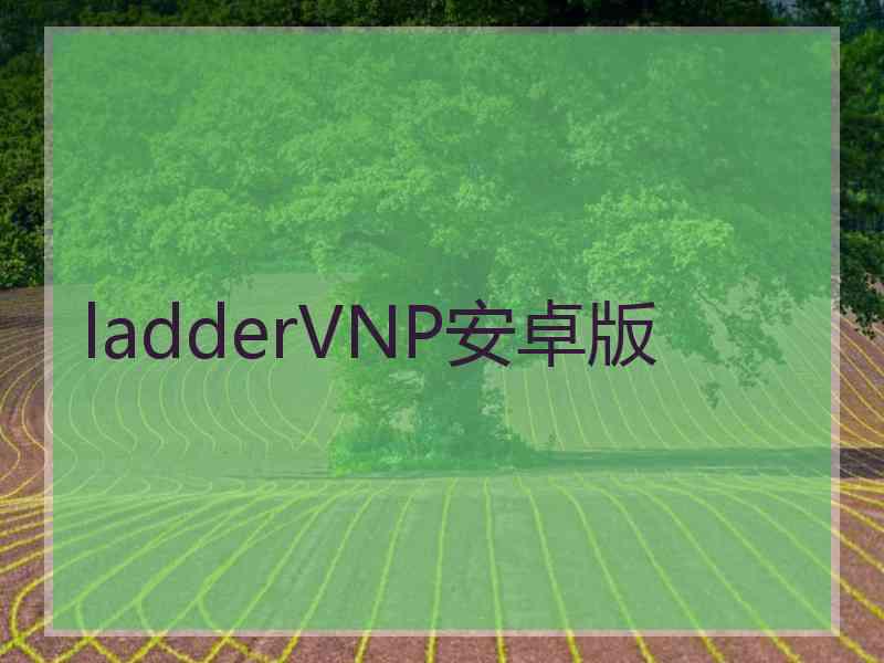 ladderVNP安卓版