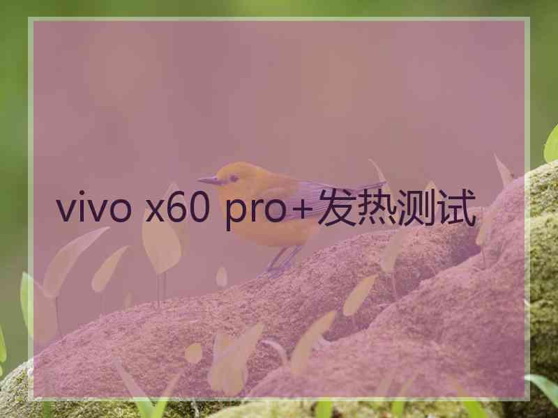 vivo x60 pro+发热测试