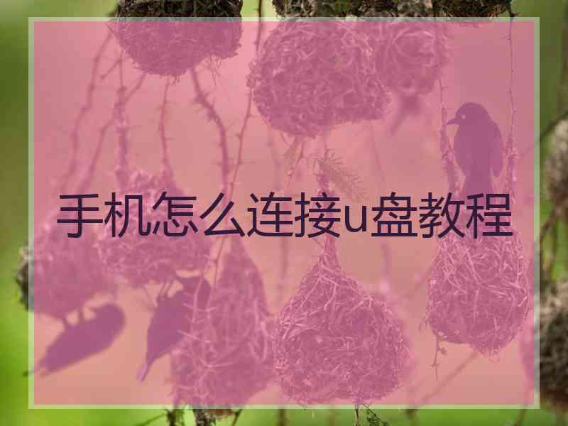 手机怎么连接u盘教程