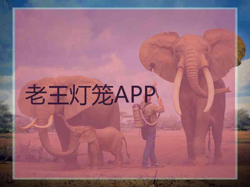 老王灯笼APP