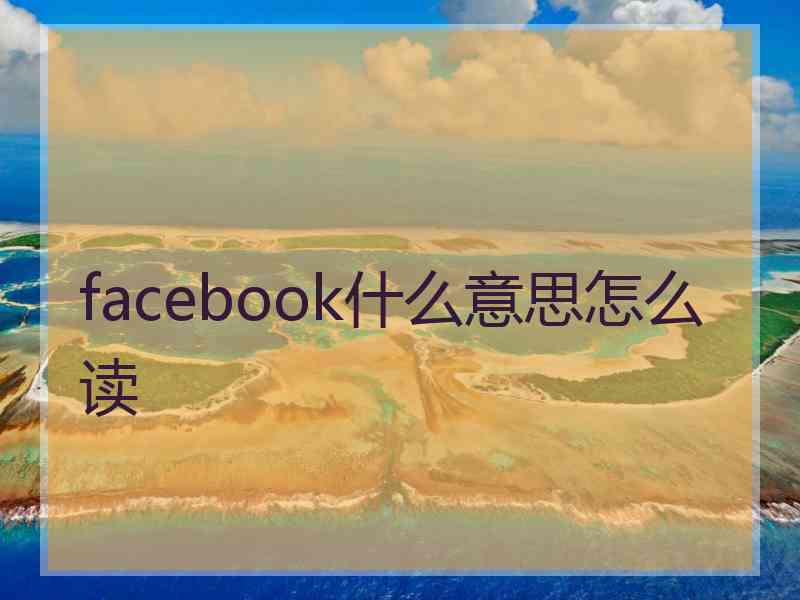 facebook什么意思怎么读