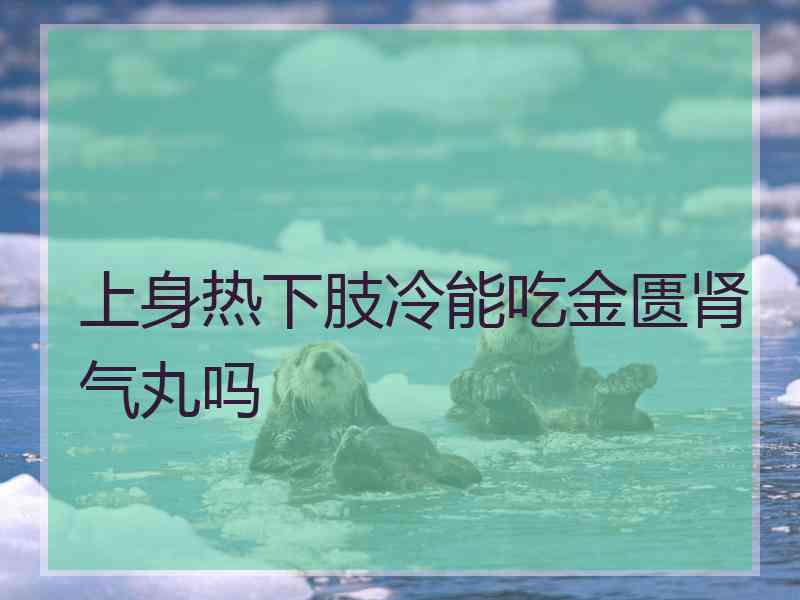 上身热下肢冷能吃金匮肾气丸吗