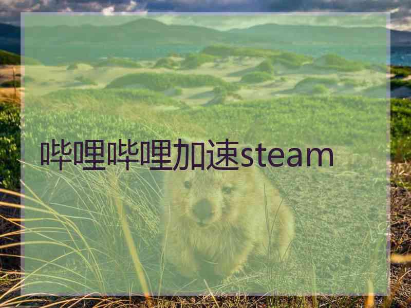 哔哩哔哩加速steam