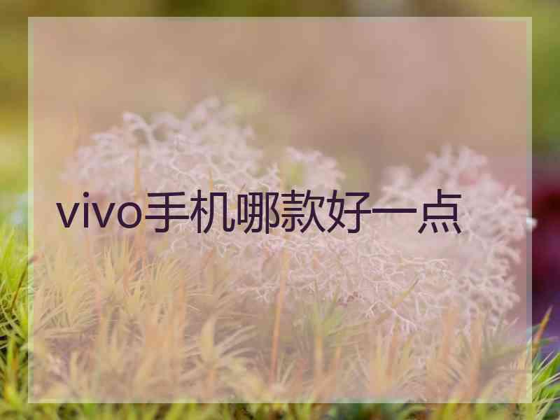 vivo手机哪款好一点