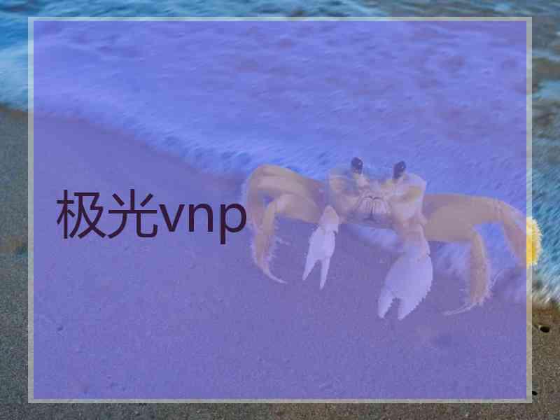 极光vnp