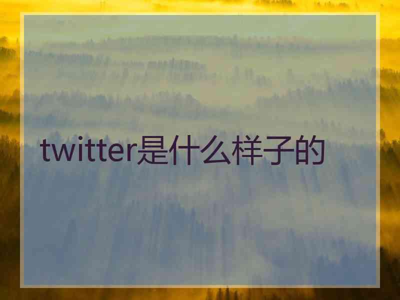 twitter是什么样子的