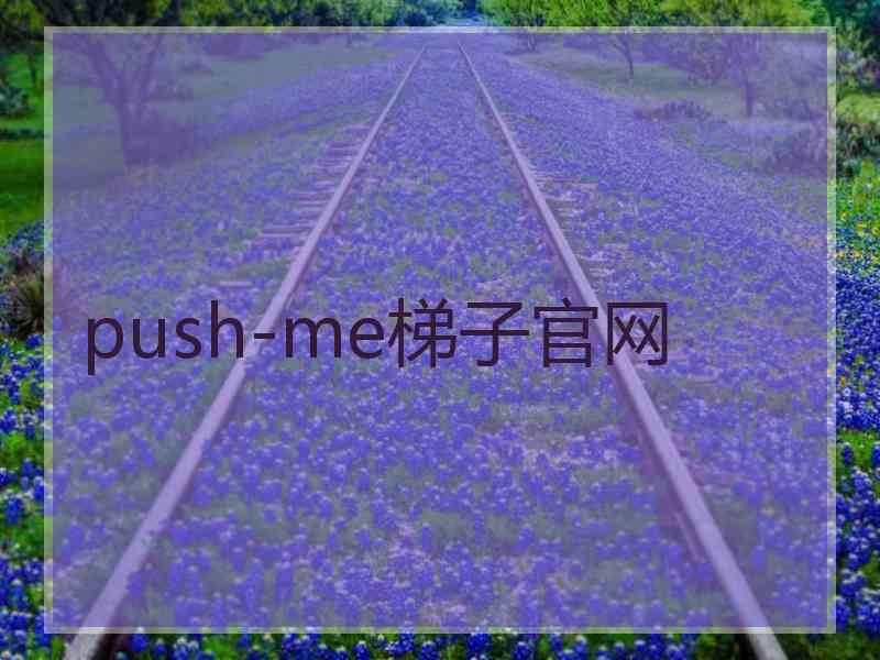 push-me梯子官网