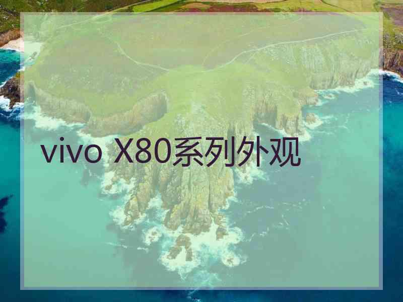 vivo X80系列外观