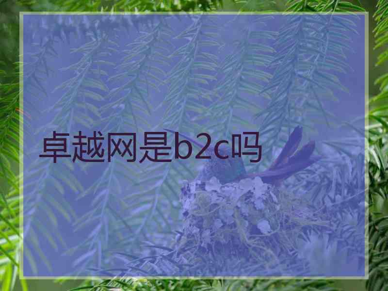 卓越网是b2c吗