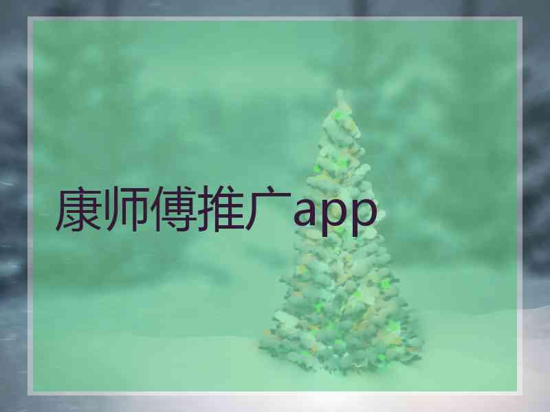 康师傅推广app