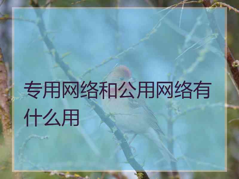 专用网络和公用网络有什么用