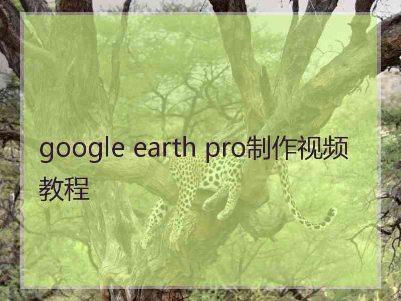 google earth pro制作视频教程