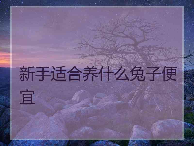 新手适合养什么兔子便宜