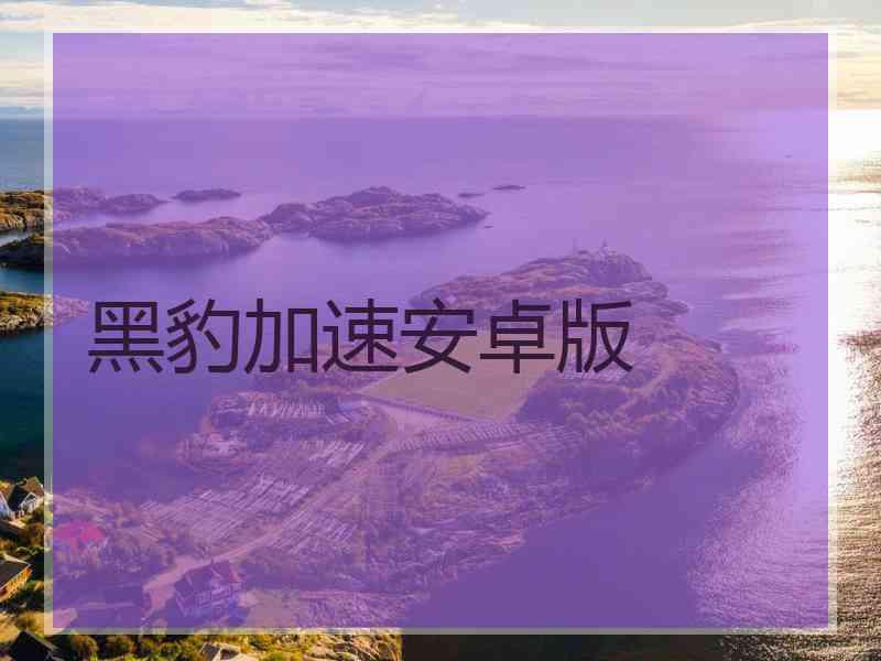 黑豹加速安卓版