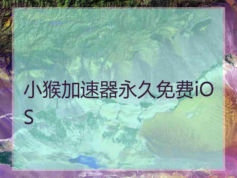 小猴加速器永久免费iOS