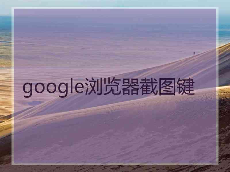 google浏览器截图键