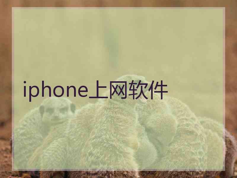 iphone上网软件