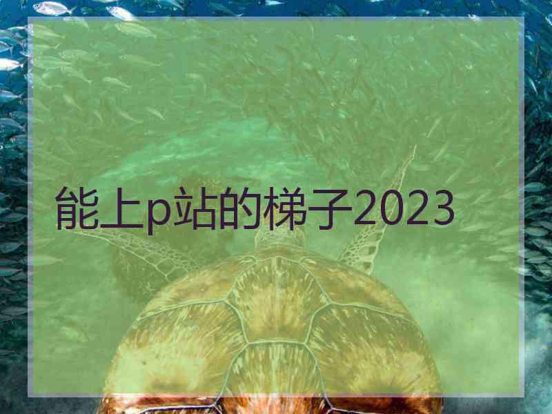 能上p站的梯子2023