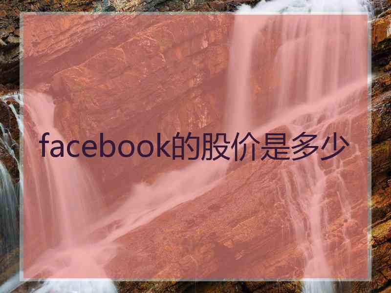 facebook的股价是多少