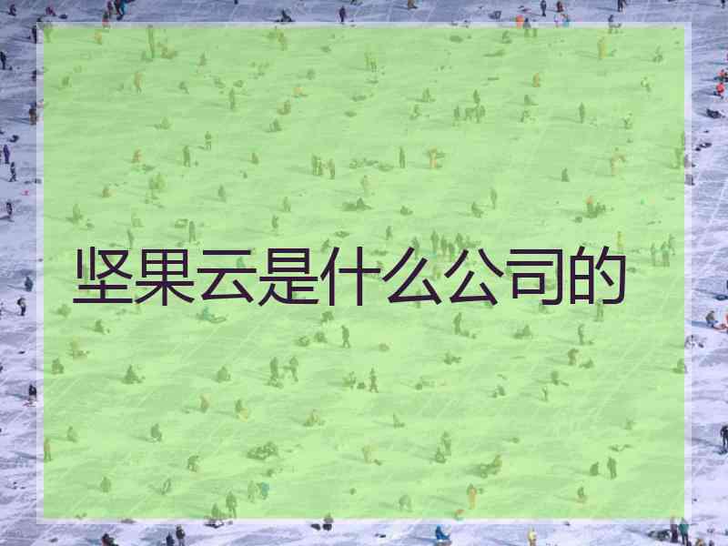 坚果云是什么公司的