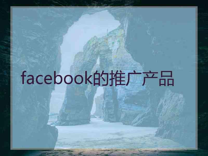 facebook的推广产品