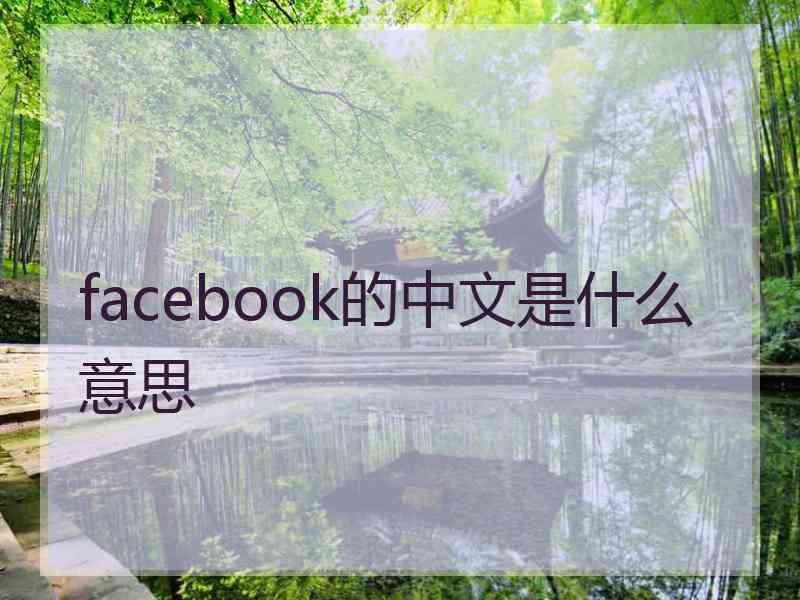 facebook的中文是什么意思