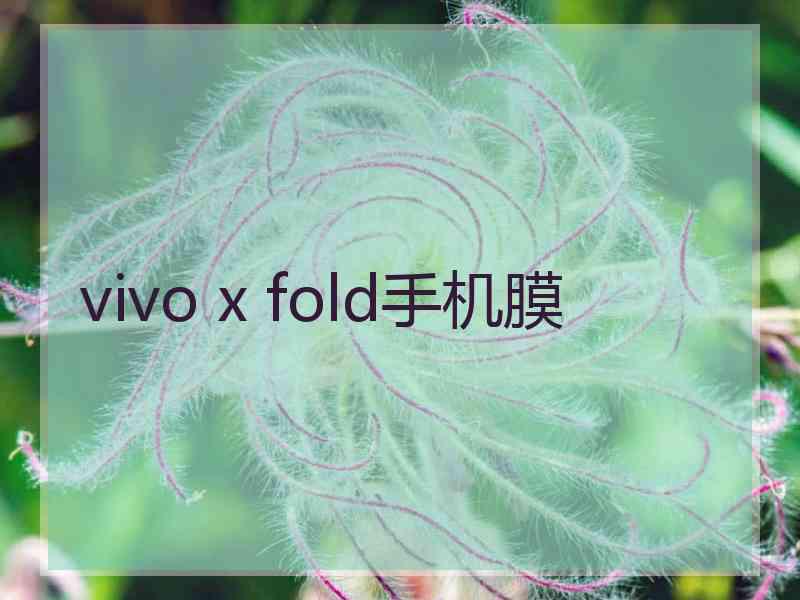 vivo x fold手机膜